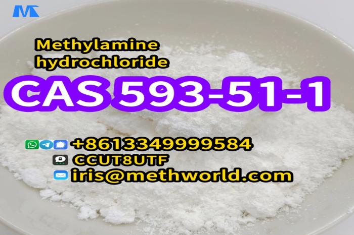High Purity White Powder Methylamine hydrochloride Cas 593-51-1	